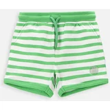 Coccodrillo Kratke hlače za dojenčka zelena barva