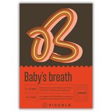 Piccolo Seeds B - Baby's breath - sadrenka - 1 pkt. Cene