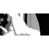  Ručno slikane slike na platnu pop art elvis (umetnicke slike) | ePonuda.com