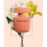 Narciso Rodriguez narciso Ambrée parfumska voda 50 ml za ženske | Shoptok.si