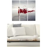 Wallity Set slika MDF82713592, 3 dijela | Eponuda.ba