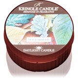 Kringle Candle Novembrrr čajna sveča 42 g | Shoptok.si