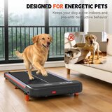 Kehot N3897 Walking Pad tekalna steza - | Shoptok.si
