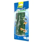 biljka za akvarijum 10cm Anacharis