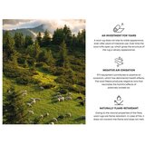 Agnella Bež vuneni tepih 170x240 cm Frotage beige – | shoptok.hr