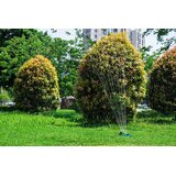  Plava vrtlarica okretna vrtna prskalica 281357 | shoptok.hr