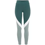 LASCANA ACTIVE Športne hlače zelena / meta / svetlo zelena / bela