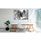  Slika - Lion's Love 60x40 | shoptok.hr