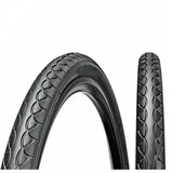 CHAOYANG SP.GUMA-20x1.75 cene