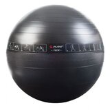 Pure Žoga za sedenje ali vadbo aerobike 65 cm | Shoptok.si