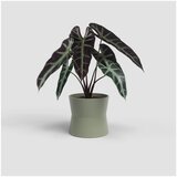 Artevasi Keramičen cvetlični lonec ø 14 cm Diana – | Shoptok.si