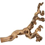 Trixie vinova loza za penjanje - 40 - 60 cm | shoptok.hr
