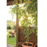 Lux Tools Plastificirani stup Lux za sadnju 180 cm | shoptok.hr
