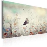 Slika - Wild Meadow 120x80 | shoptok.hr