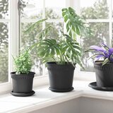  Saksije za biljke 24 pcs Crna Ø 19 x 16 cm Plastika | shoptok.hr