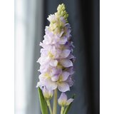 Sinsay Ukrasna umjetna biljka | shoptok.hr