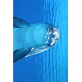 Conceptum Hypnose tepih (100x300) WOOKECE068 | Eponuda.com
