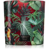 Vila Hermanos Jungletopia Wild Musk mirisna svijeća 1450 g Cijene