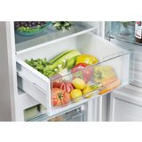 Candy prostostoječi hladilnik CCT3L517ES | Shoptok.si