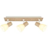  Forma Spot lampa FE406-3 WH+WD Cene