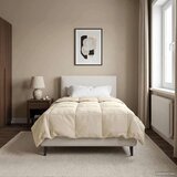  Poletna odeja Šonerisan krema 135 x 220 cm Mikrovlakna, (5000284238) | Shoptok.si