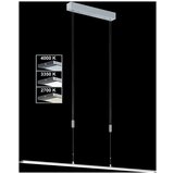 Fischer & Honsel Kovinska LED zatemnitvena viseča svetilka v srebrni barvi Metz – | Shoptok.si