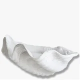 Ukrasni pladanj od polyresina 33x27 cm Shell –