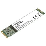 Intenso Top SSD, 256GB, SATA III, M.2. 2280 (3832440) | shoptok.hr