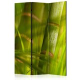  Paravan u 3 dijela - bamboo - nature zen [Room Dividers] 135x172 Cijene
