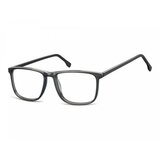 Berkeley Naočare CP132 | ePonuda.com