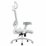 UGD Ergonomska kancelarijska stolica Silver Polare Slike