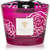 Baobab Collection Collectible Roses Burgundy mirisna svijeća 10 cm