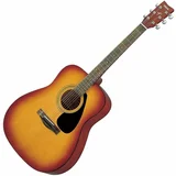 F310 Akustična gitara, Smeđe boje