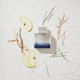 Antonio Banderas king of Seduction toaletna voda 200 ml za muškarce Cijene