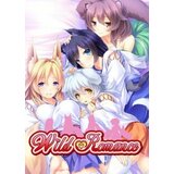 Wild Romance Steam Key GLOBAL Cene
