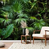  Foto tapeta - Sunny Jungle 450x315 | shoptok.hr