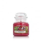 Yankee Candle Red Raspberry 104 g | shoptok.hr