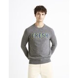 Celio Woolen sweater Cenormal - Men Cene