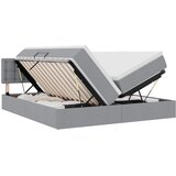 vidaXL Krevet S LED lampica Svijetlo siva 200 x 200 cm tkanina - Svjetlosiva 200 x 200 cm Gumbi | shoptok.hr