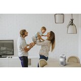 BONECO P130 čistilec zraka s trojnim učinkom čiščenja | Shoptok.si