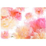 Tapeta - Pastel peonies 150x105 | shoptok.hr