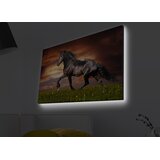 Opviq Slika na platnu sa LED osvetljenjem 45x70cm | Eponuda.ba