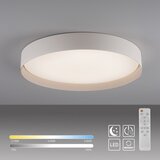 SCHÖNER WOHNEN 14595-39 - LED prigušiva plafonsko svetlo TAVOLI LED/34W/230V sivo + daljinski upravljač | Eponuda.com