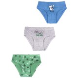 Yoclub kids's cotton boys' briefs underwear 3-pack BMC-0029C-AA30-001 | shoptok.hr