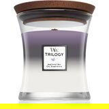 WoodWick Trilogy Amethyst Sky dišeča svečka 275 g unisex | Shoptok.si