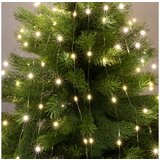 Home ML200/WW Rasvjetna struna sa 200 toplo bijelih LED dioda, prozirna cijene