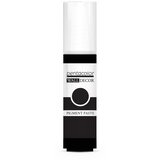 Artmie Pigmentna pasta za zidne dekoracije 20 ml | Black | shoptok.hr