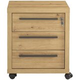 CARRYHOME PREDALNIK NA KOLESCIH | Shoptok.si