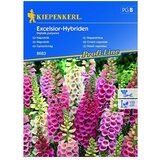 KIEPENKERL Sjeme cvijeća Crveni naprstak Excelsior-Hybriden (Digitalis purpurea, Crvena, Bijela, Ružičasta) | shoptok.hr