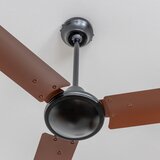  ZEVENTI - Plafonski ventilator TOFINO braon | Eponuda.com